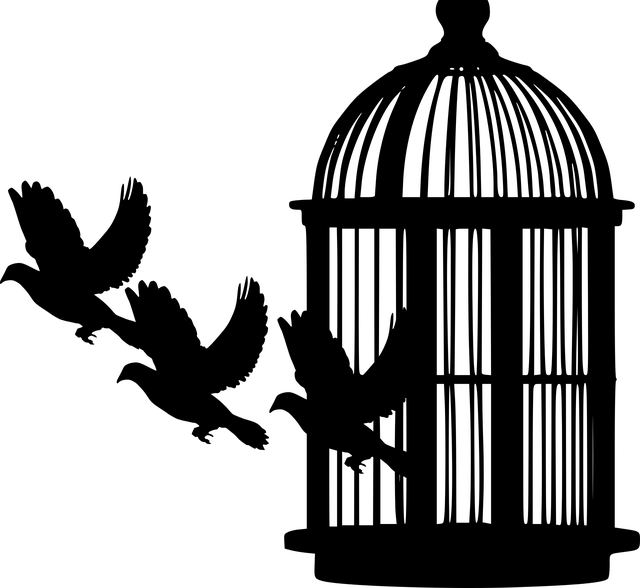 领导组织传销罪最多拘留多少天（传销刑事拘留30天）
